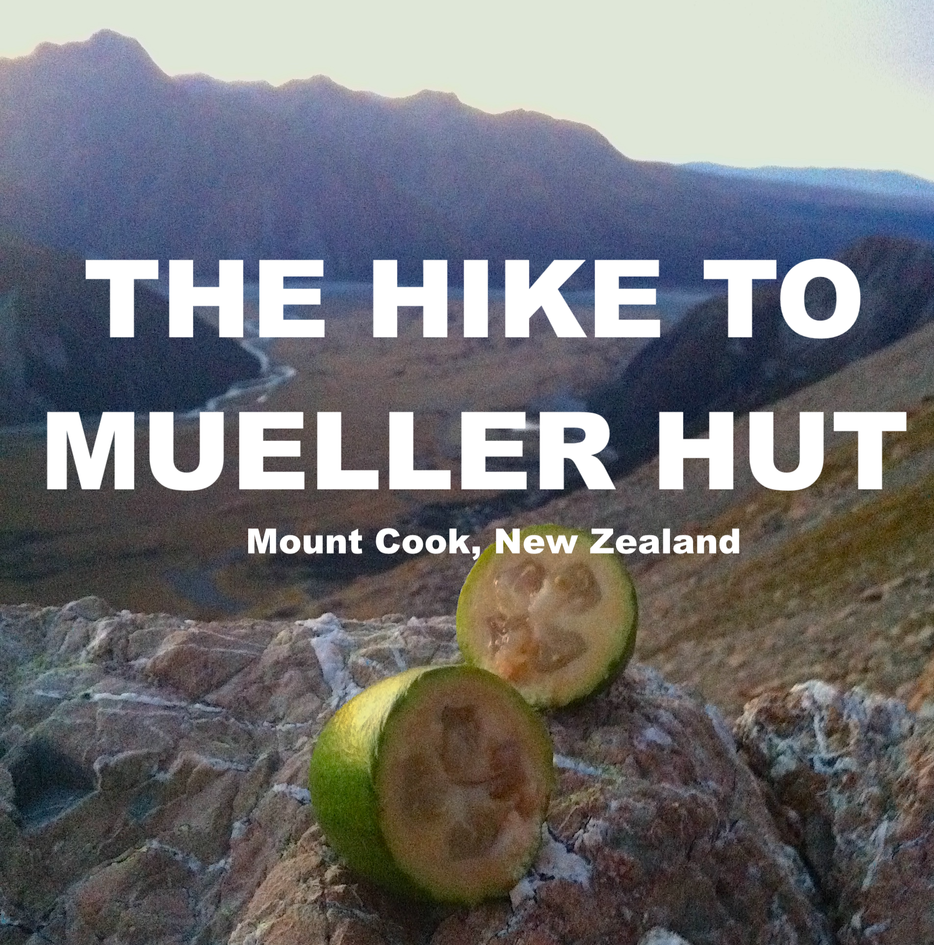 The Hike to Mueller Hut